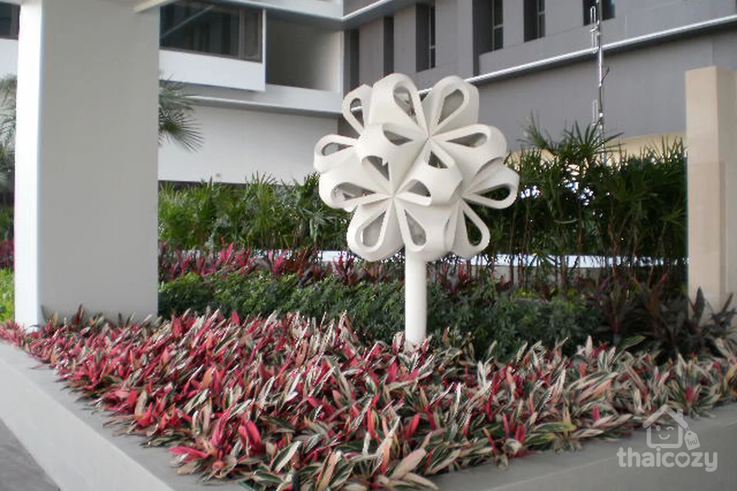 อมานต้า ลุมพินี photo 10