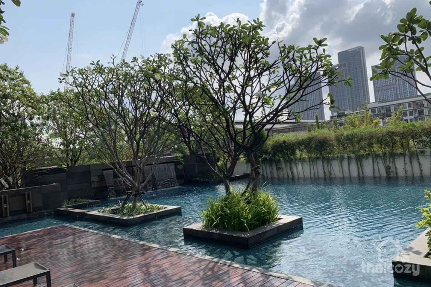 เดอะ รูม สุขุมวิท 62 photo 7