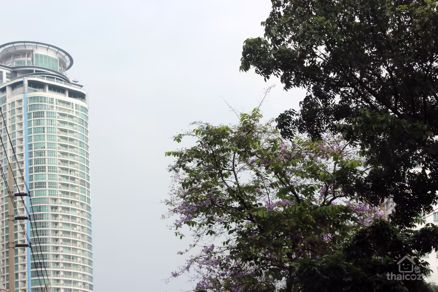 Sky Walk Condominium photo 2
