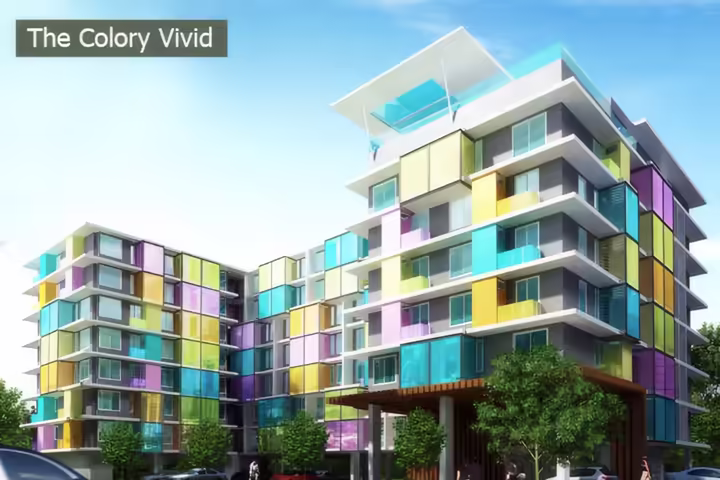 The Colory Vivid