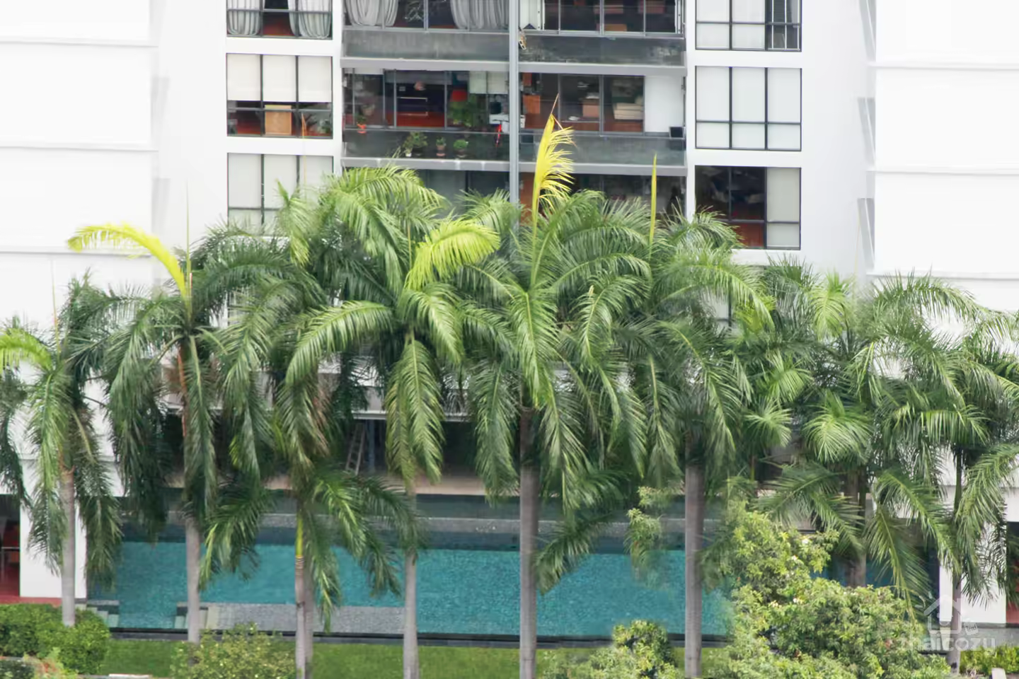Domus photo 4