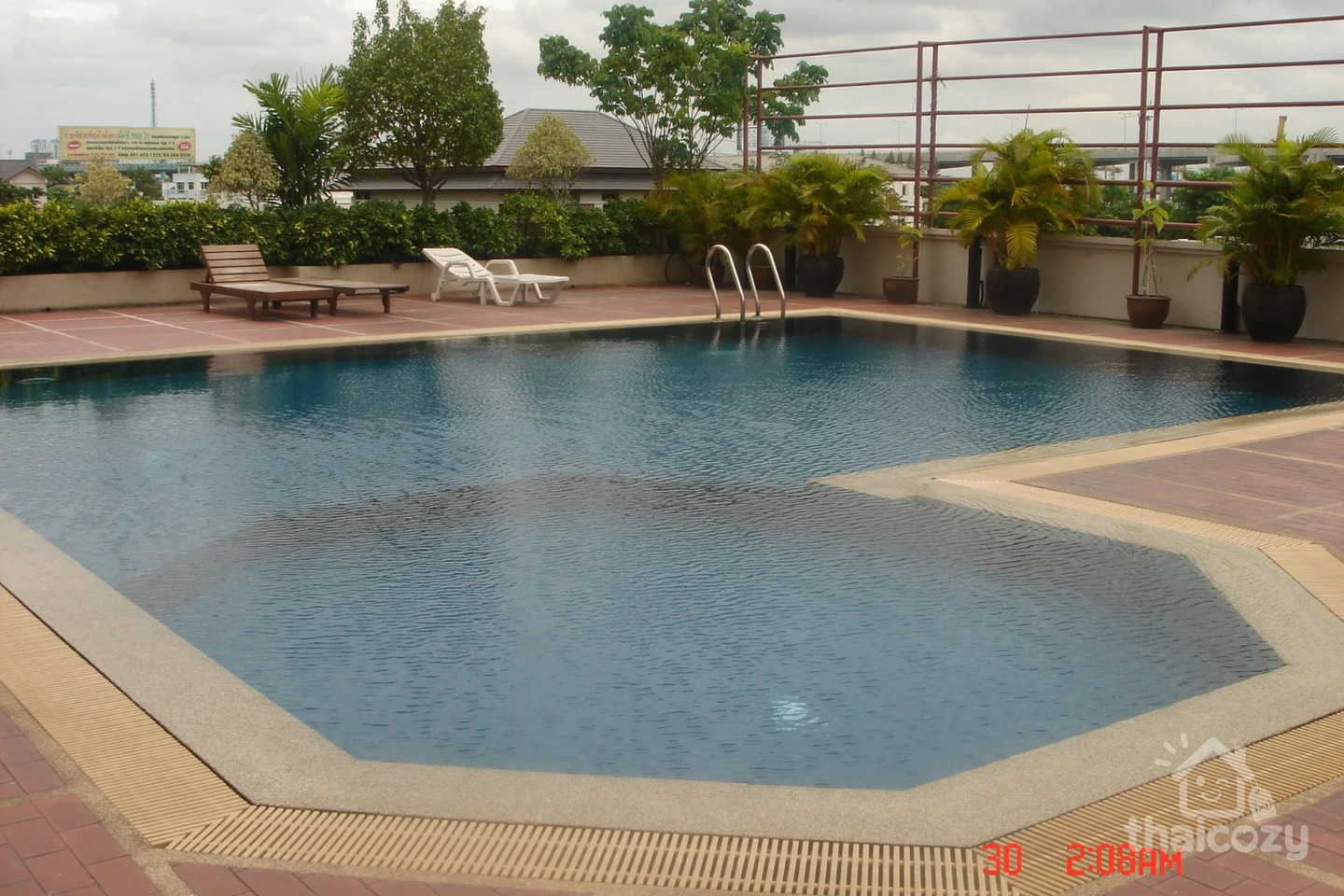 The Roof Garden photo 3