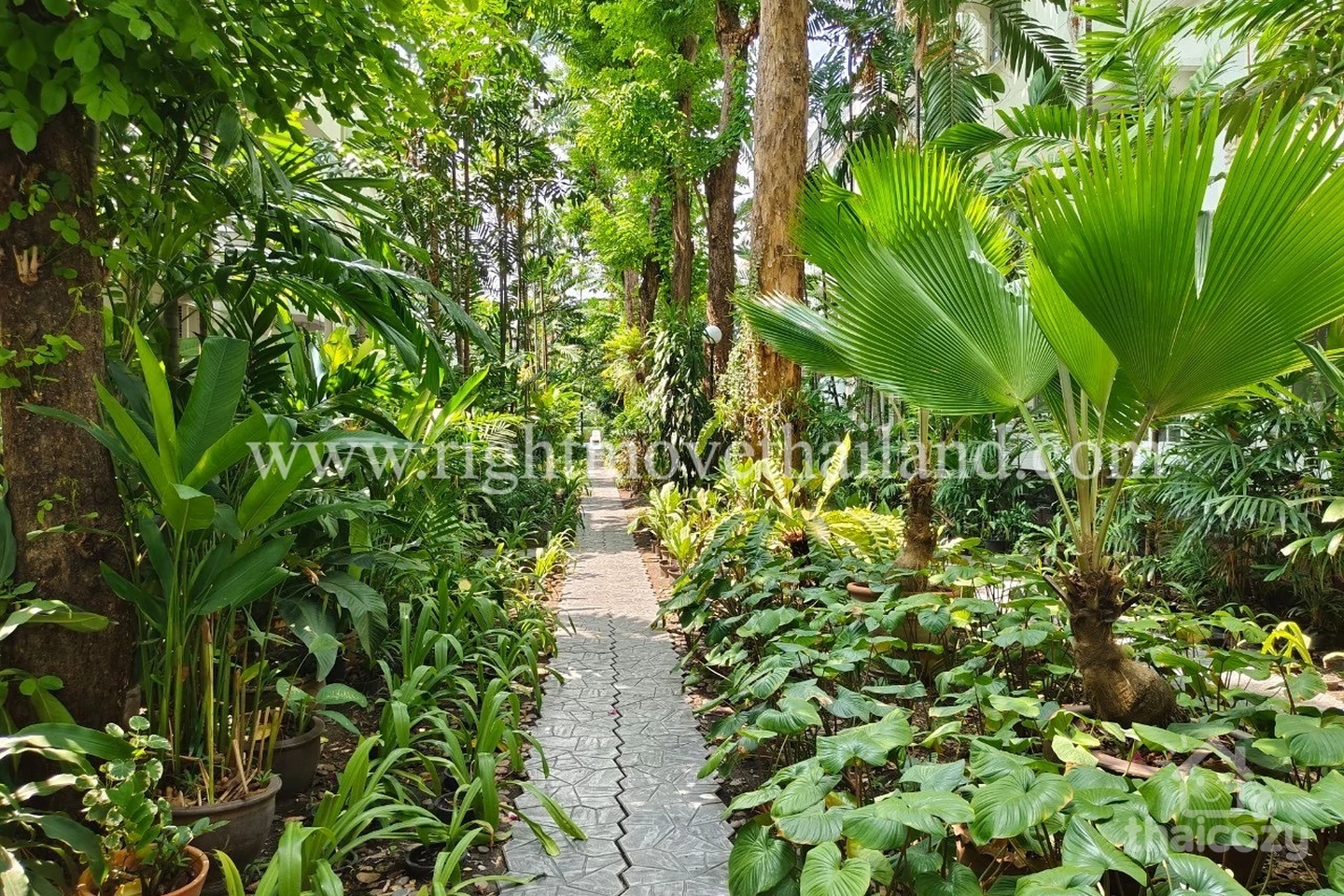 Prompak Gardens photo 2