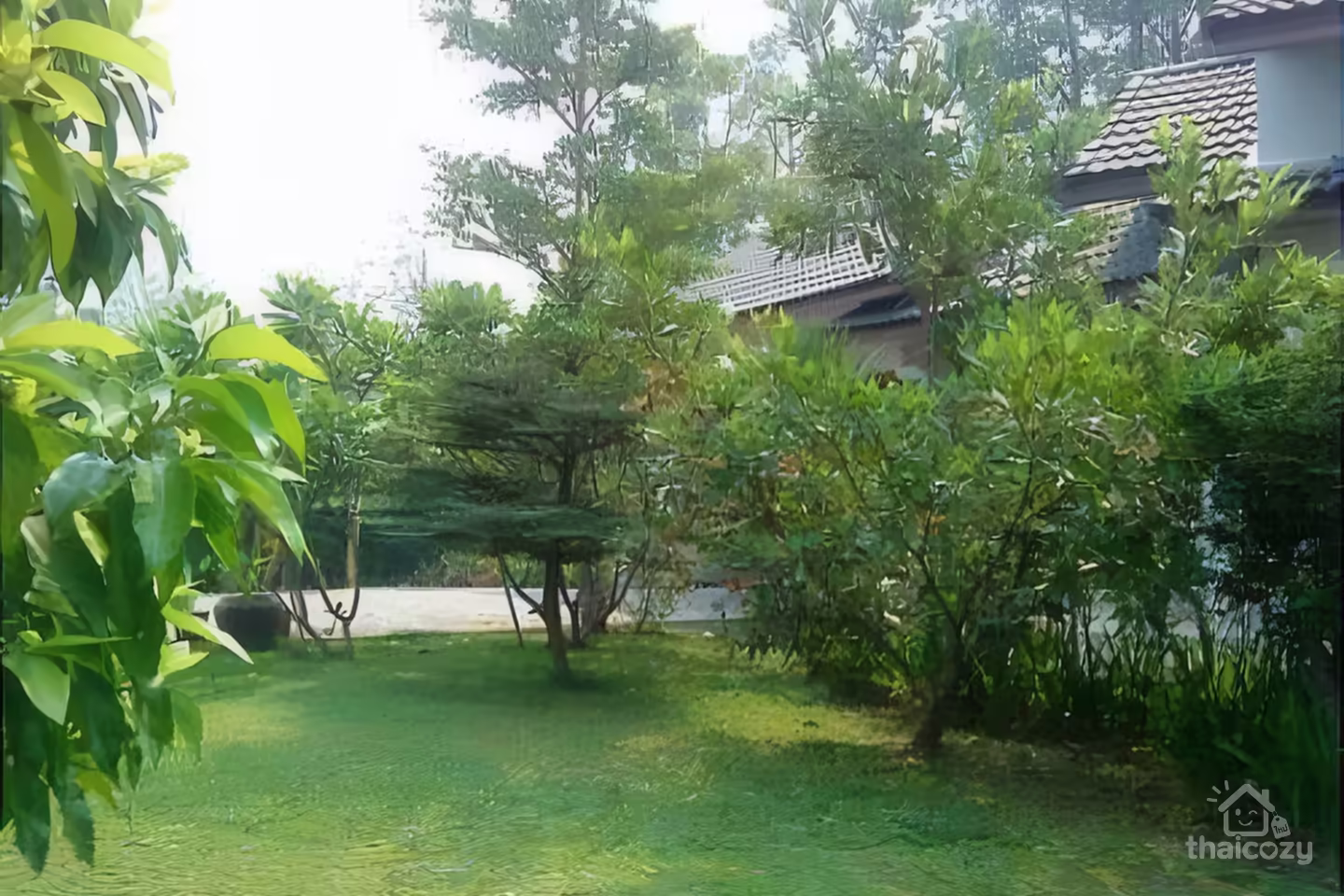 บ้านเดี่ยว 2 ห้องนอน ให้เช่า ในหางดง photo 2