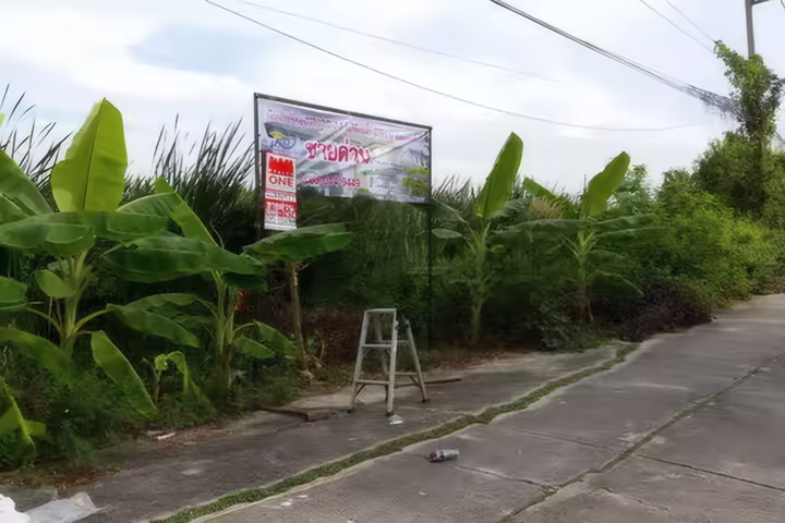 Land for Sale in Nong Chok 0-1-50 Rai (150 Sq. Wah)