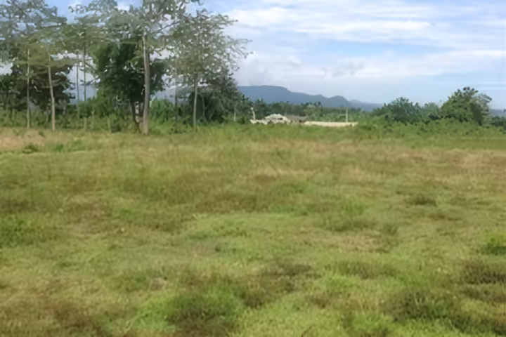 ที่ดิน 20 ไร่ ขายในเชียงราย