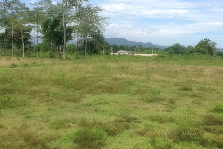ที่ดิน 20 ไร่ ขายในเชียงราย