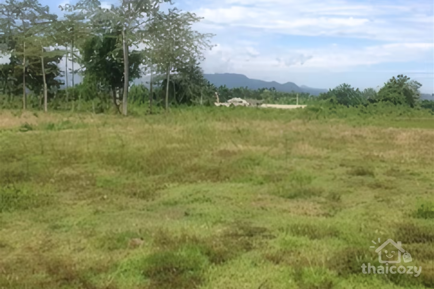 ที่ดิน 20 ไร่ ขายในเชียงราย photo 1