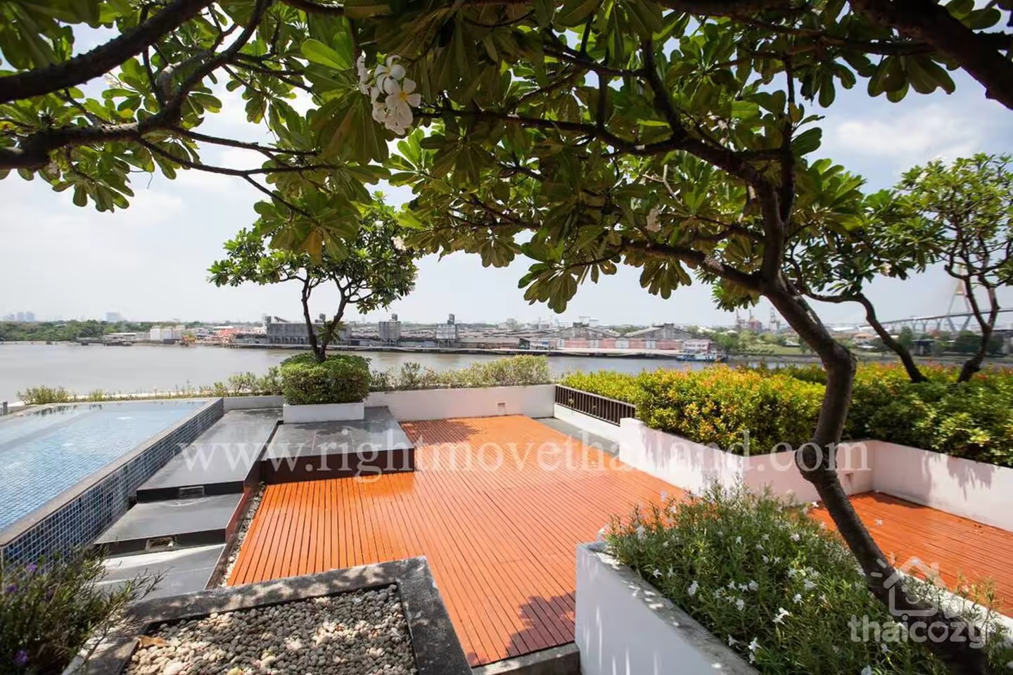 CA10585 The Pano Rama 3 คอนโดให้เช่า photo 2