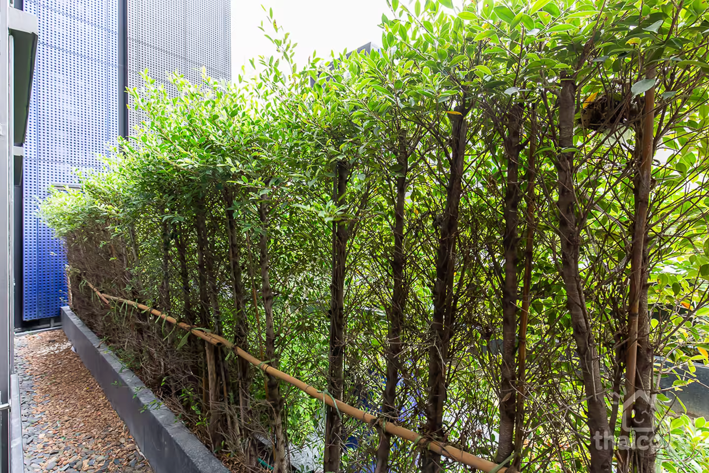 The Line Asoke-Ratchada Condo Near MRT Rama 9 photo 2