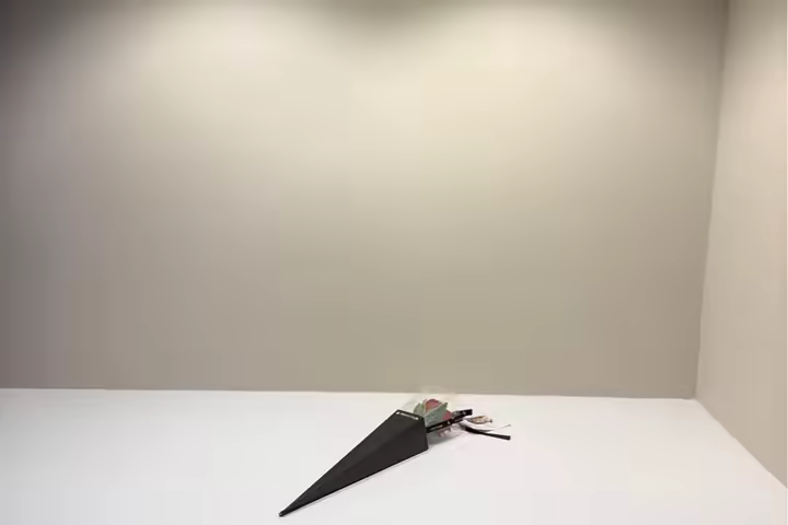 Noble Reveal Ekkamai Studio 32 m2