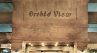 Orchid View
