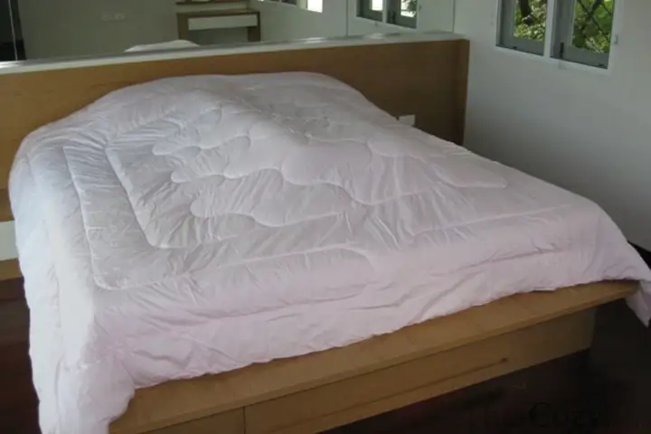 บ้านเดี่ยวบางนาให้เช่า