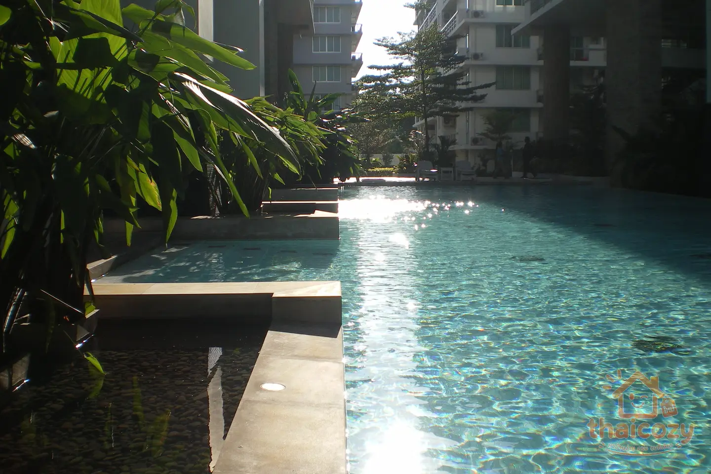 คอนโด ขาย สุขุมวิท ซอย 50 (ใกล้ BTS อ่อนนุช) photo 1